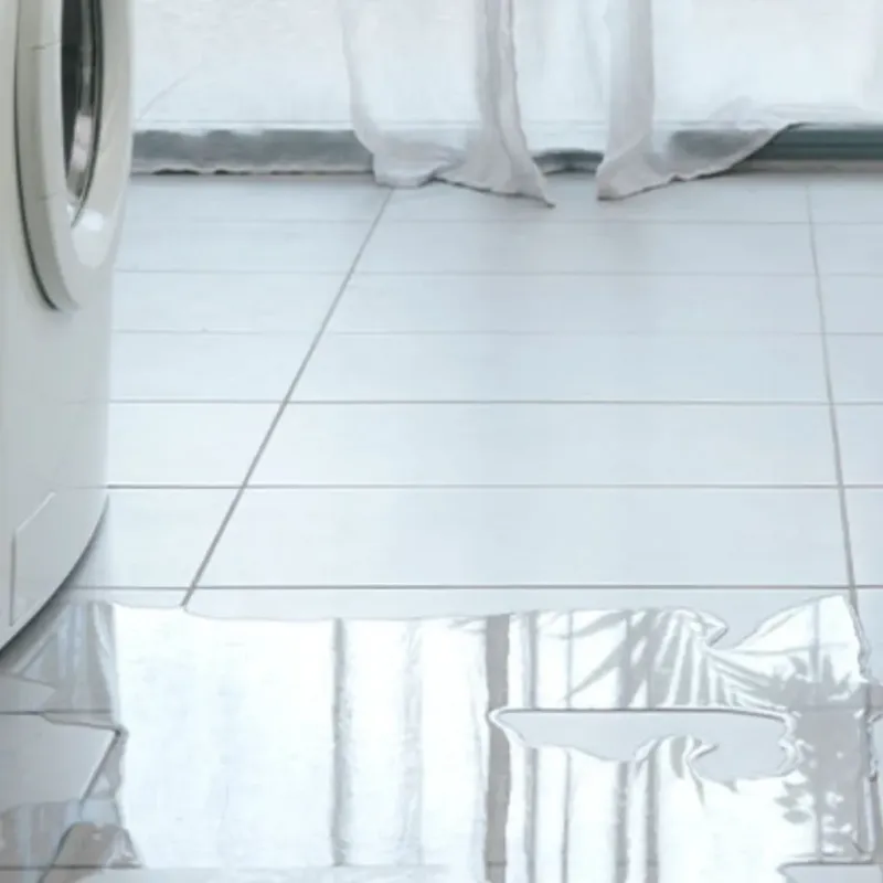 Appliance Leak Cleanup in Melrose, NY